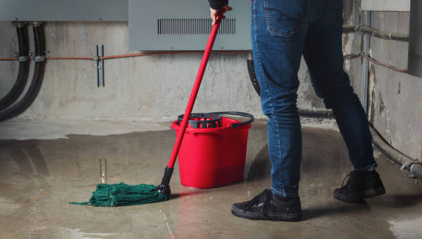 Best Sewage cleanup and water damage restoration  in Lyons, OR
