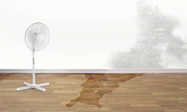Best Local water damage restoration  in Lyons, OR
