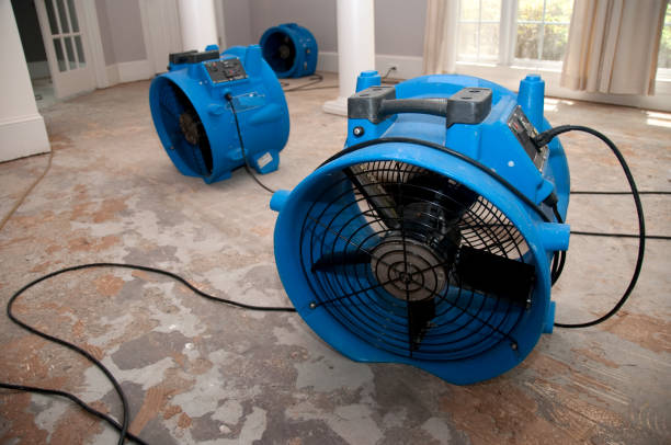 Best Flood damage cleanup  in Lyons, OR