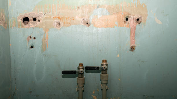 Best Carpet water damage restoration  in Lyons, OR