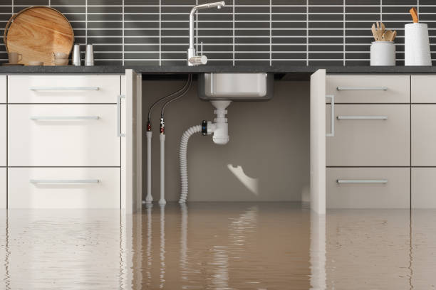 Reliable Lyons, OR Water damage restoration Solutions