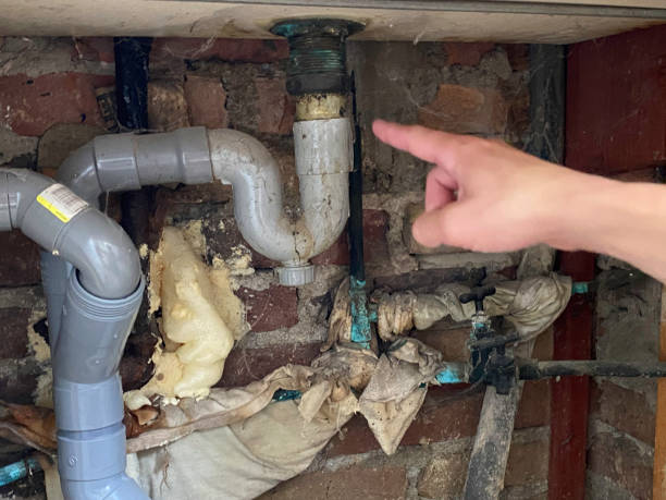 Best Mold removal after water damage  in Lyons, OR