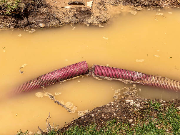Best Professional water damage repair  in Lyons, OR