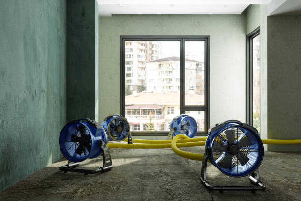 Best 24-hour water damage restoration  in Lyons, OR