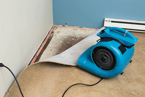 Best 24/7 water damage repair  in Lyons, OR
